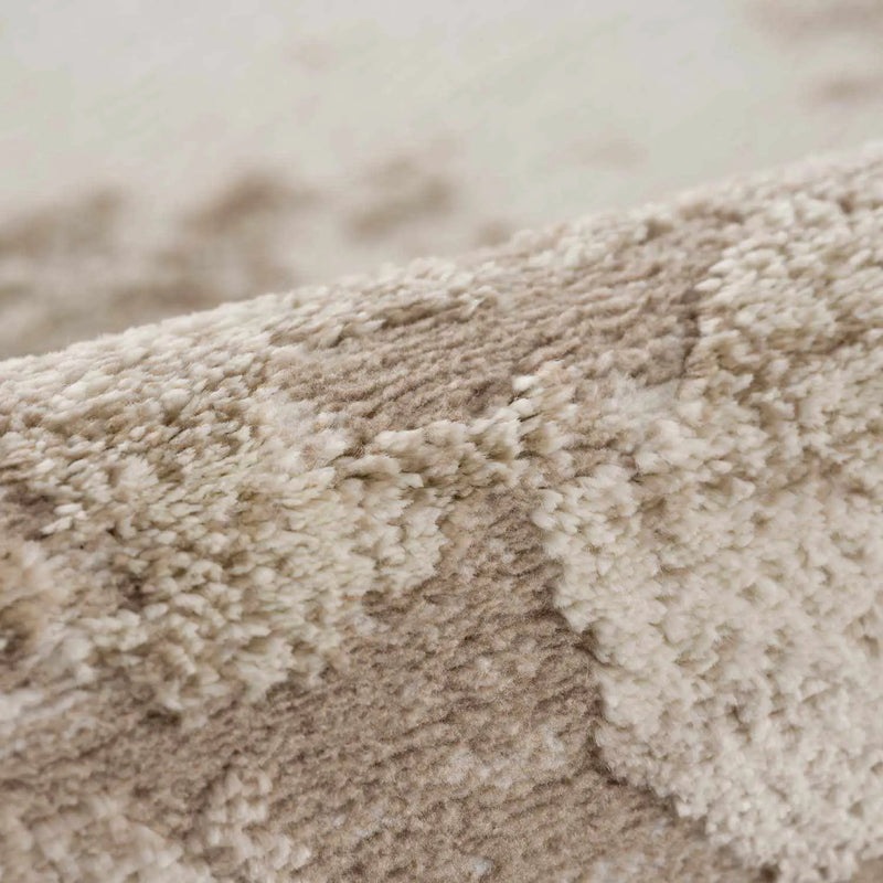 Briley Beige Area Rug by Boutique Rugs