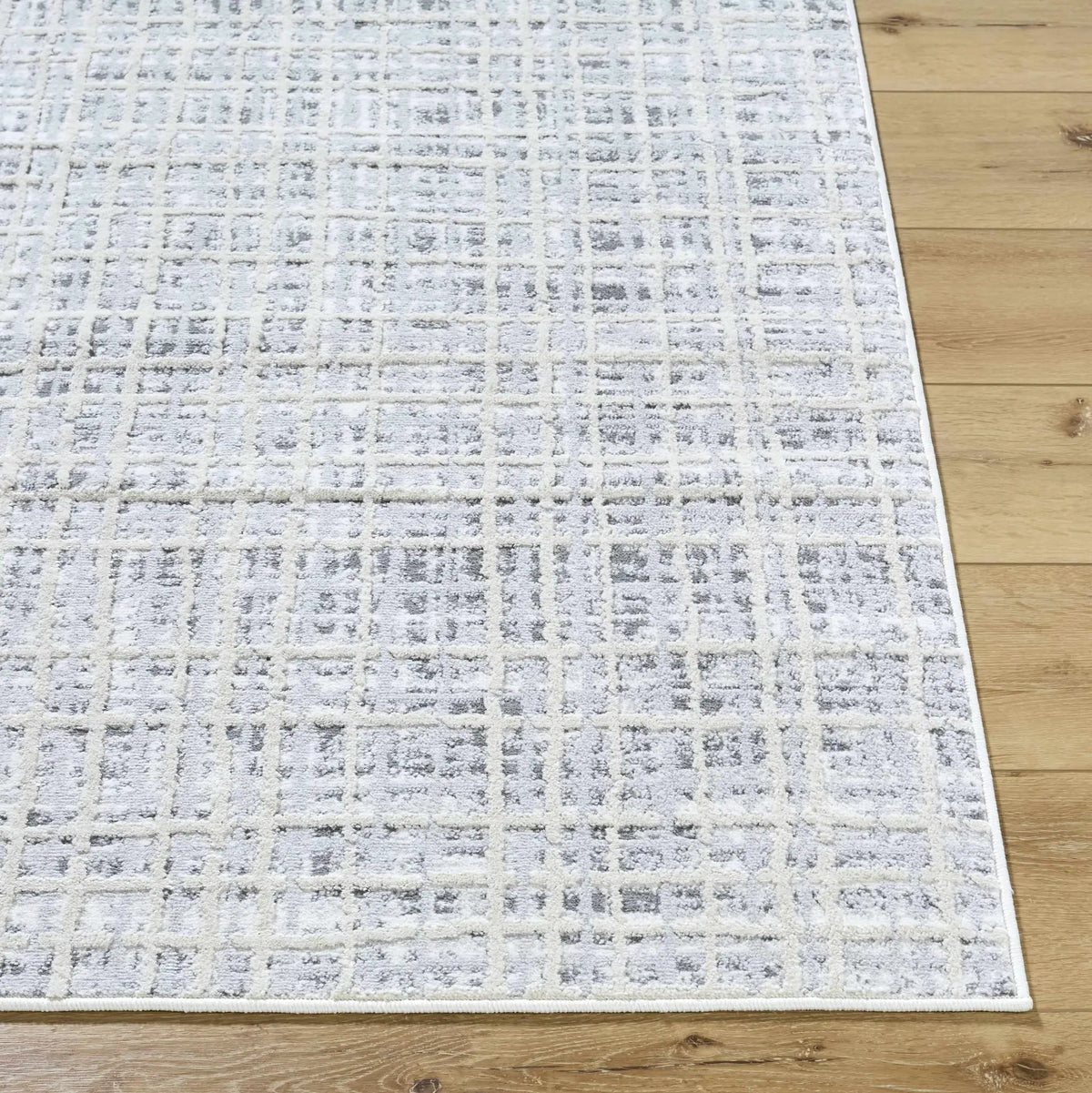 Barbra Gray Area Rug, photo 13 of 15