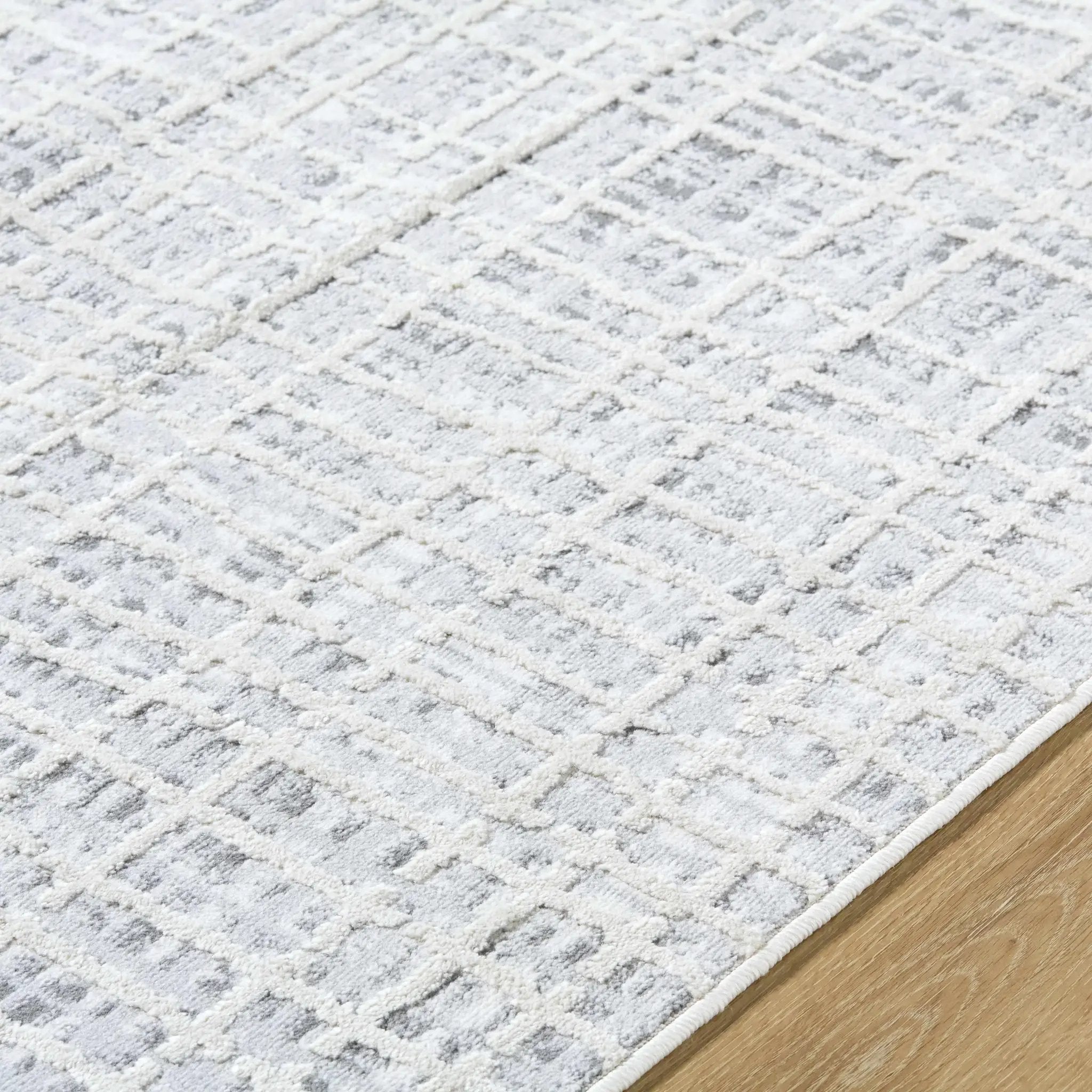 Barbra Gray Area Rug by Boutique Rugs