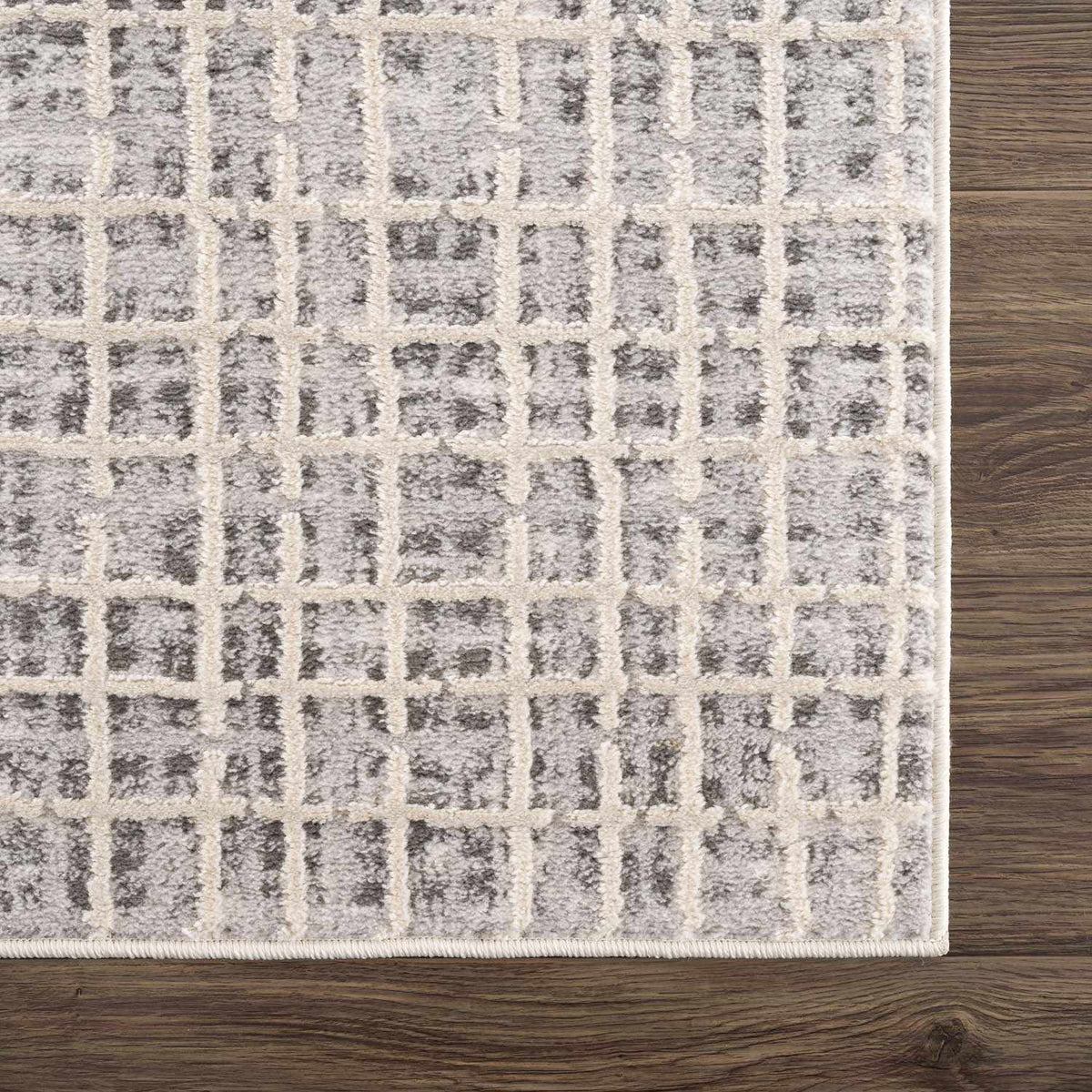 Barbra Gray Area Rug, photo 7 of 15