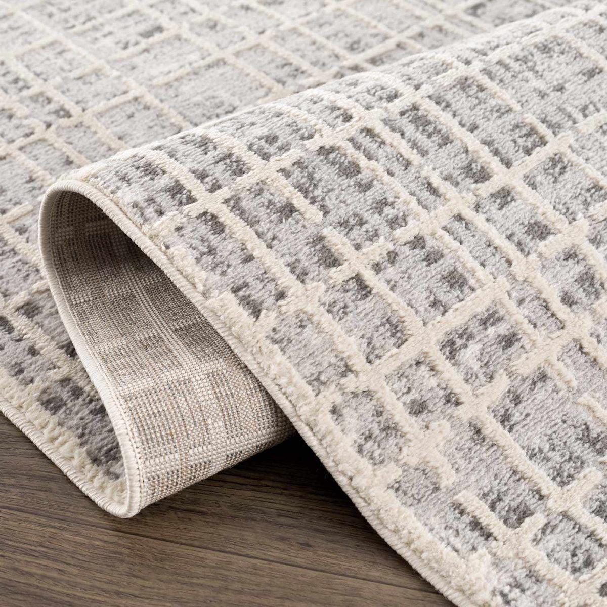 Barbra Gray Area Rug, photo 6 of 15