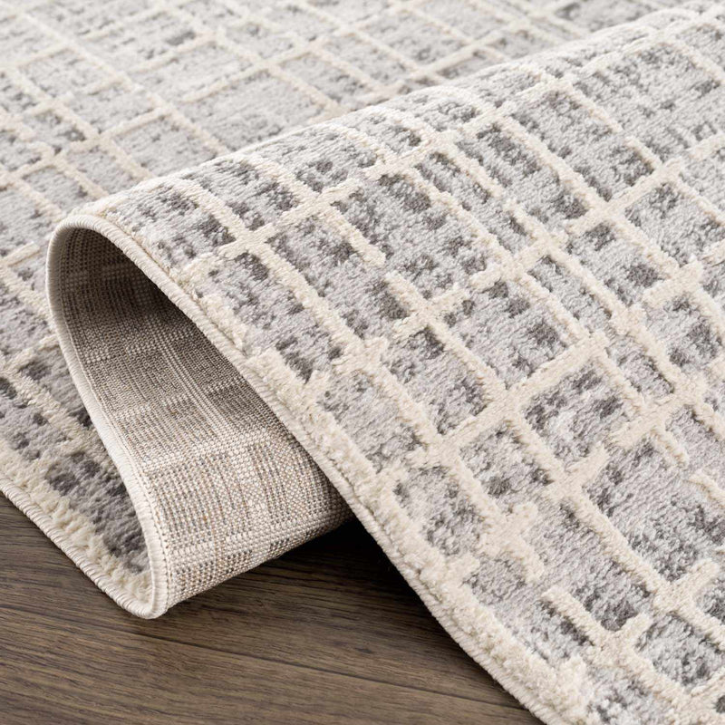 Barbra Gray Area Rug by Boutique Rugs