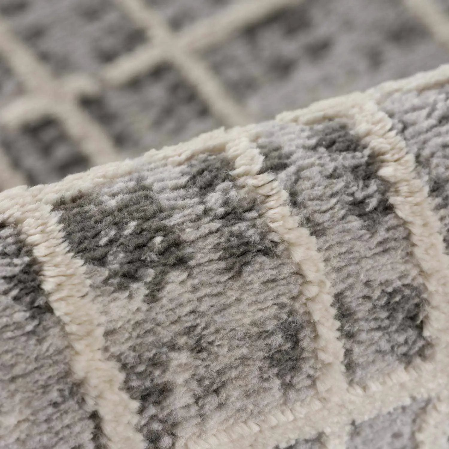 Barbra Gray Area Rug by Boutique Rugs