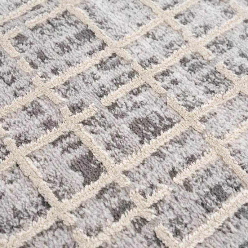 Barbra Gray Area Rug by Boutique Rugs