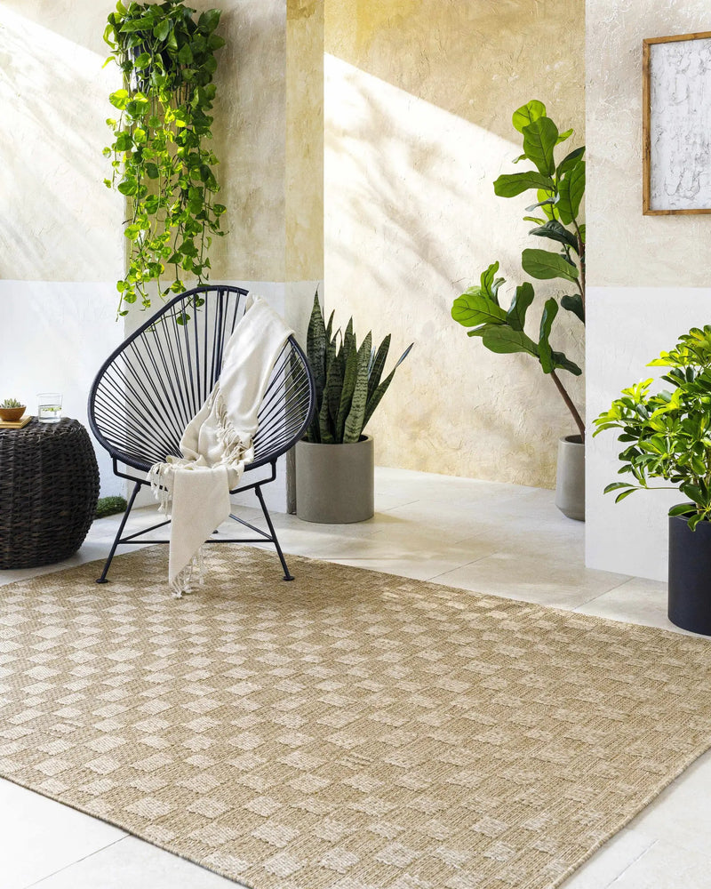 Arifah Prairie Dust Outdoor Area Rug by Boutique Rugs