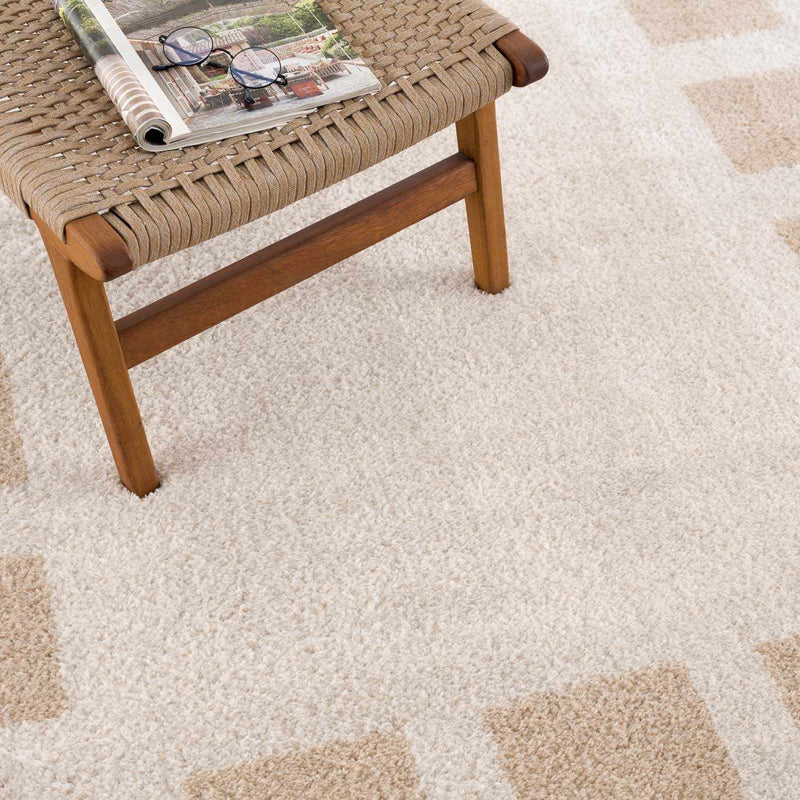Beynon Beige Washable Area Rug by Boutique Rugs