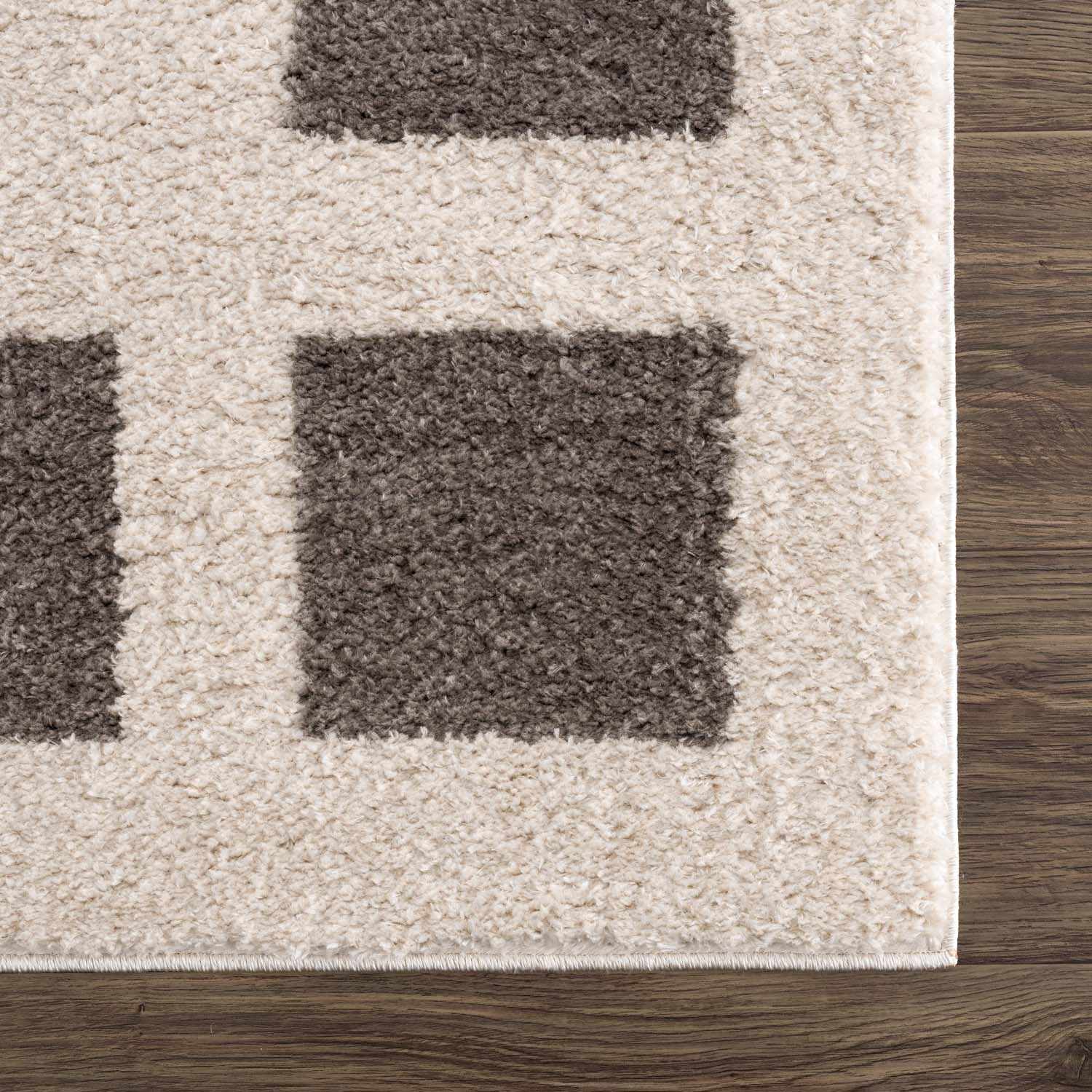 Beynon Charcoal Washable Area Rug by Boutique Rugs