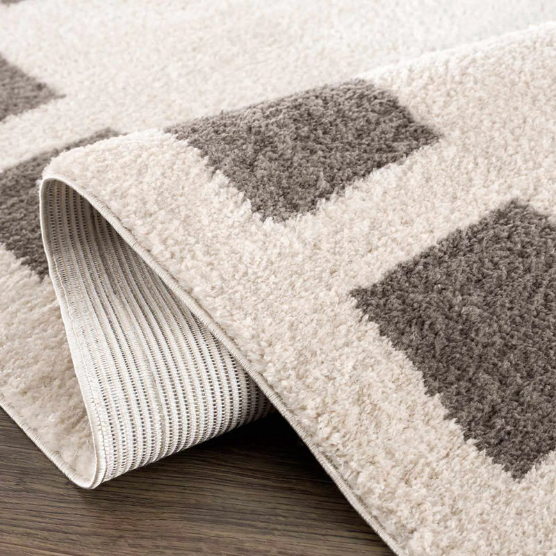 Beynon Charcoal Washable Area Rug by Boutique Rugs