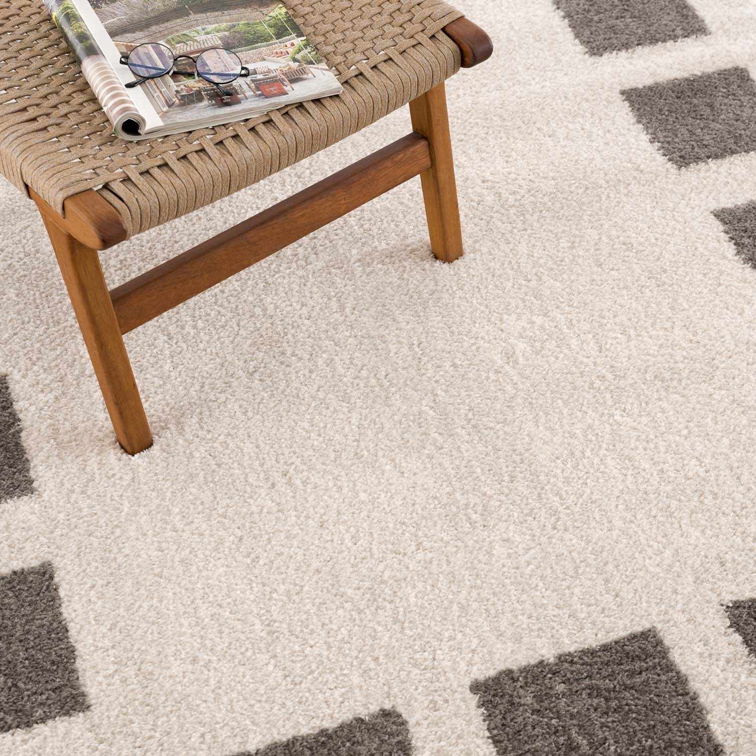 Beynon Charcoal Washable Area Rug by Boutique Rugs