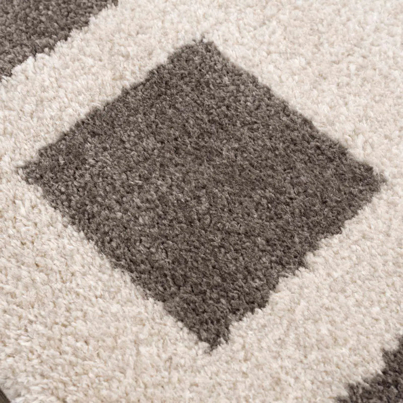 Beynon Charcoal Washable Area Rug by Boutique Rugs