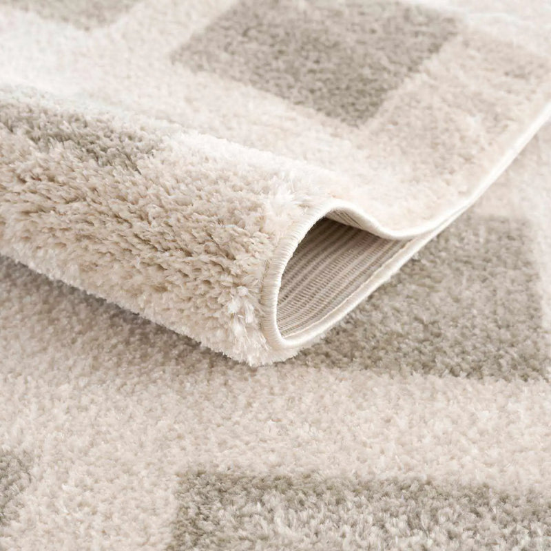 Beynon Gray Washable Area Rug by Boutique Rugs