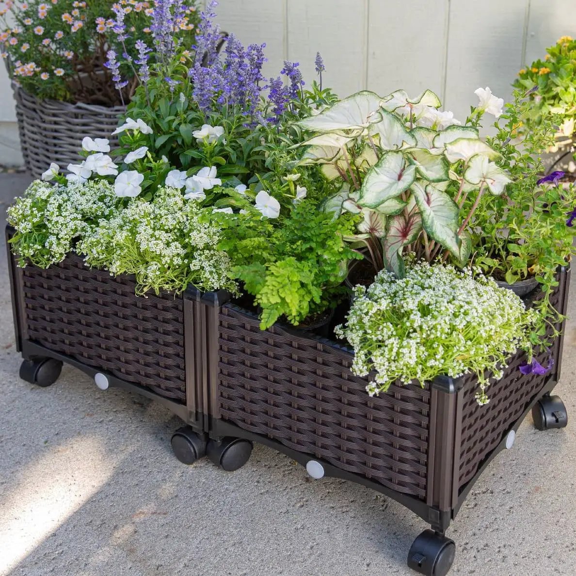 Modern 2-Piece Indoor Outdoor Raised Garden Planter Box on Wheels in PP Rattan by HomePacific