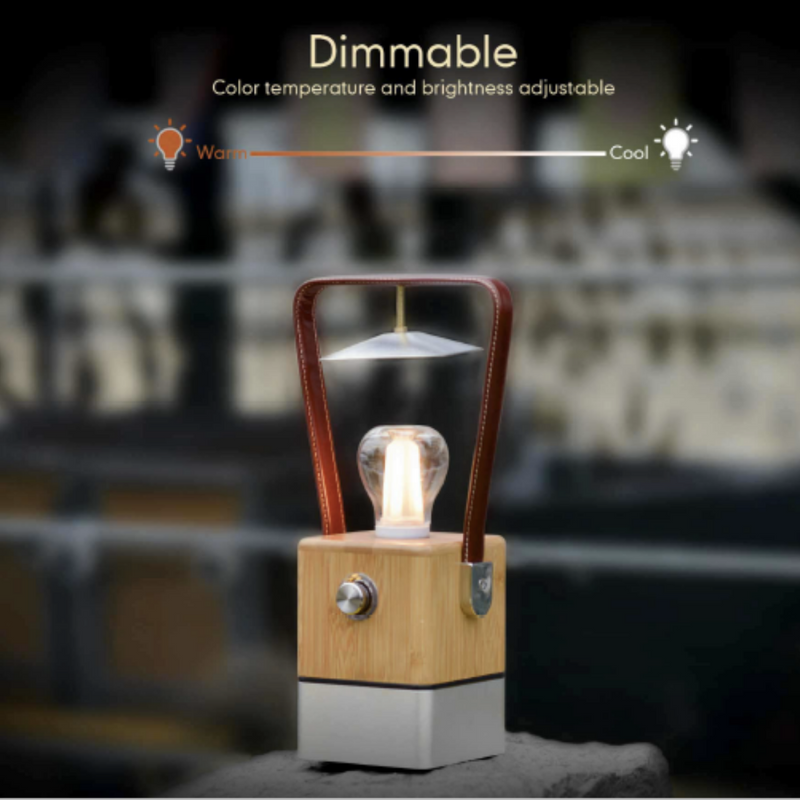 TRU De-LIGHT VIENNA Dimmable Desk Lamp - Lamp / Power Bank / Decoration All-In-One, photo 14 of 17