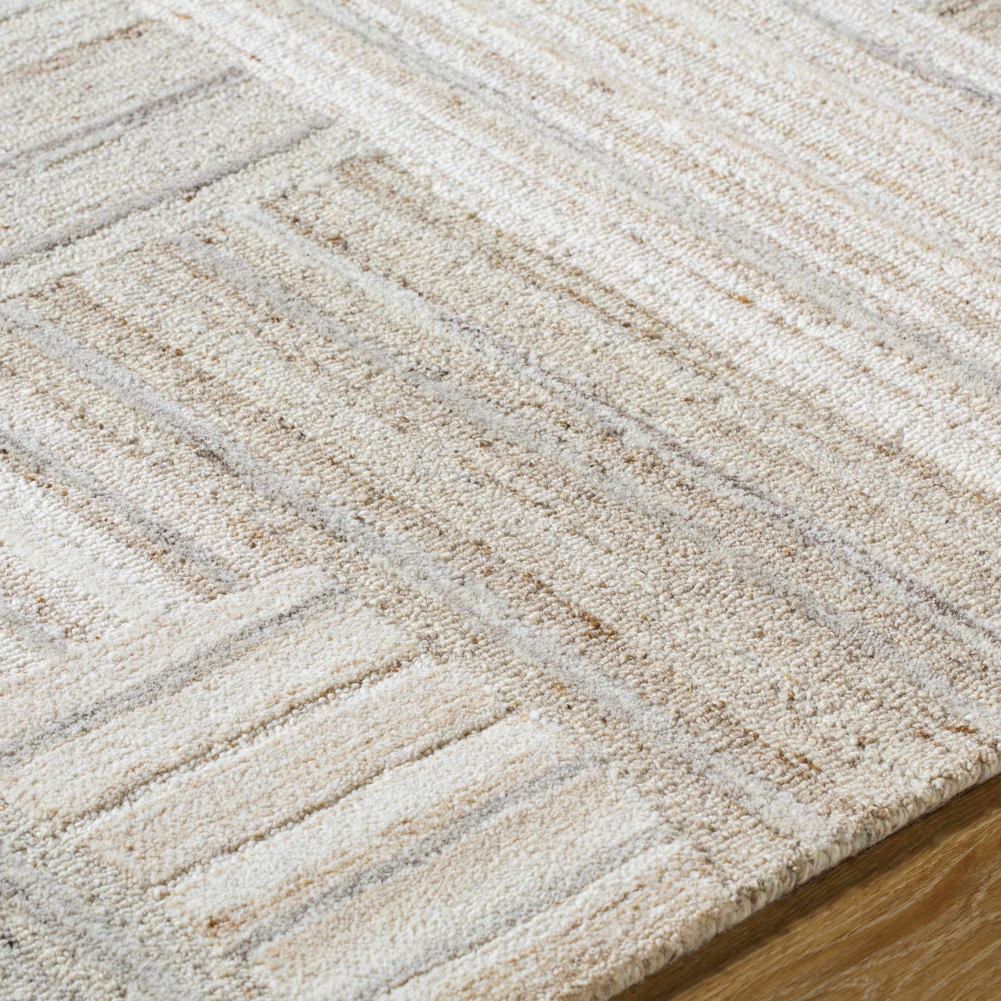 Ashtyn Area Rug by Boutique Rugs