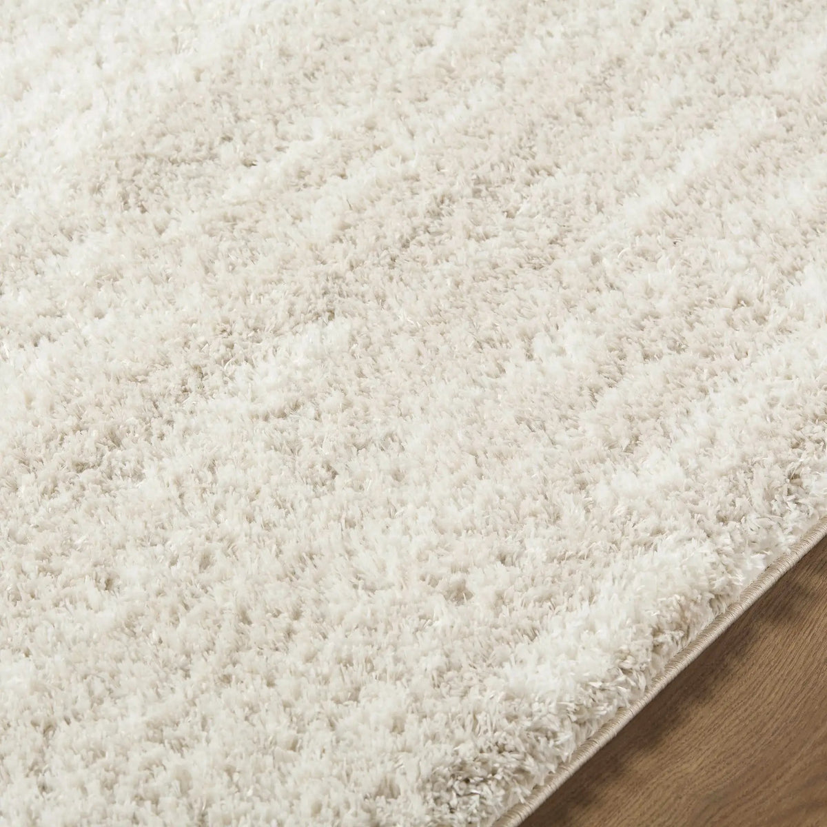 Benjen Ivory Area Rug, photo 6 of 6