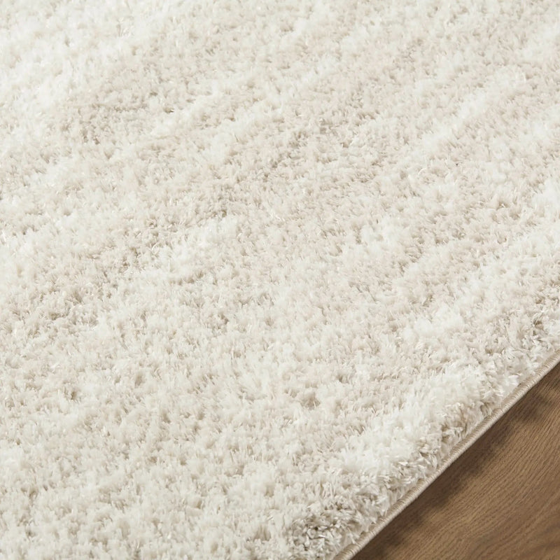 Benjen Ivory Area Rug by Boutique Rugs