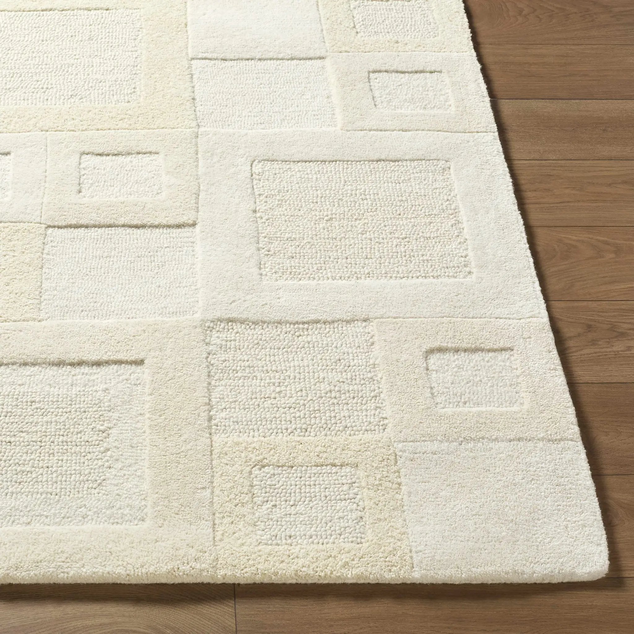 Botham Area Rug by Boutique Rugs