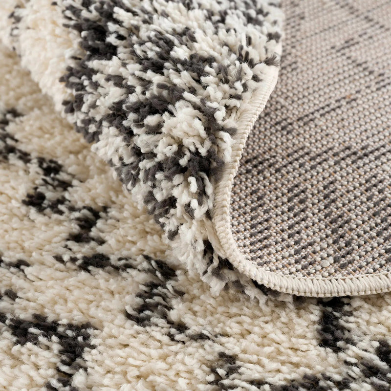 Buan Plush Area Rug by Hauteloom