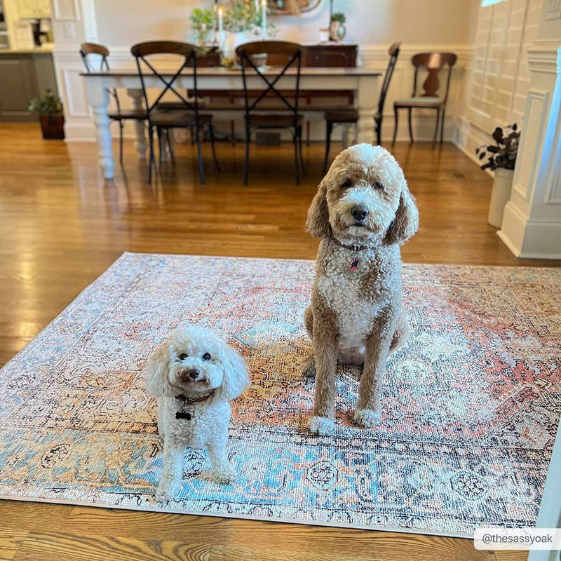 Beck Peach Washable Area Rug by Hauteloom