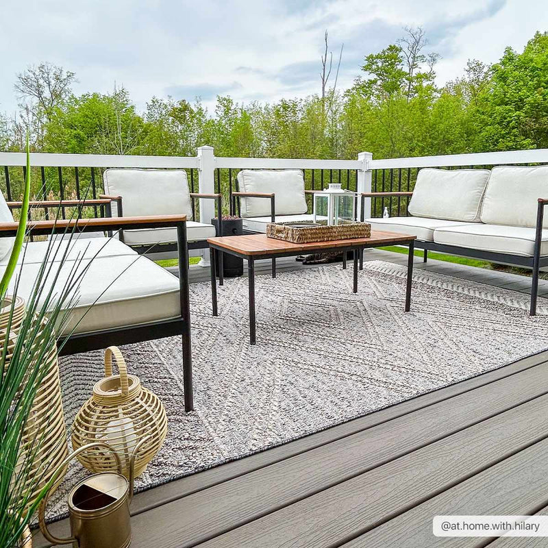 Beige Charcoal Areli Outdoor Area Rug by Boutique Rugs