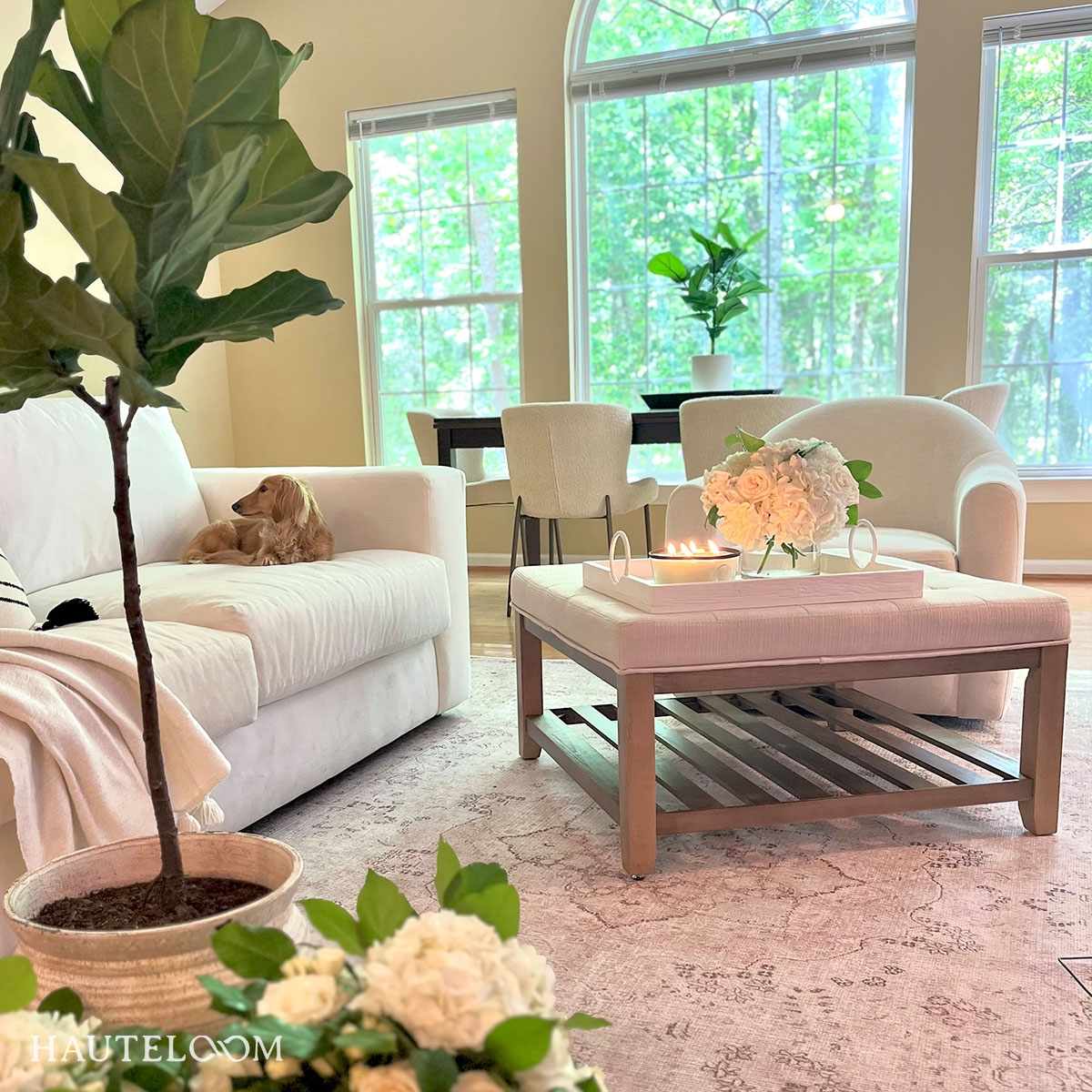 Bethany Washable Area Rug by Hauteloom