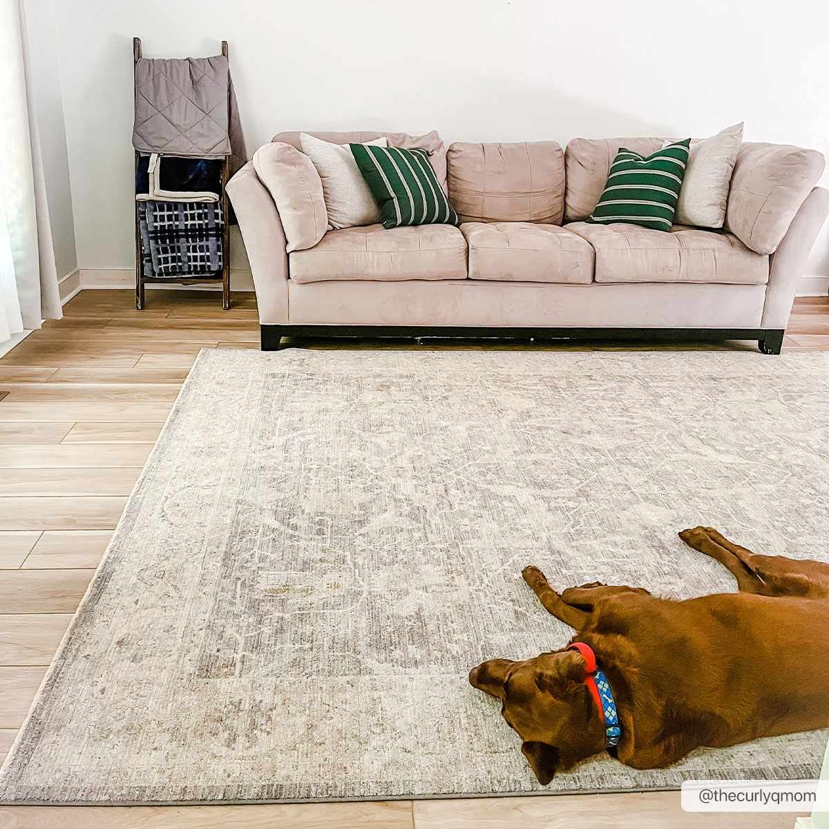 Binx Thick Luxe Statement Rug, photo 2 of 16