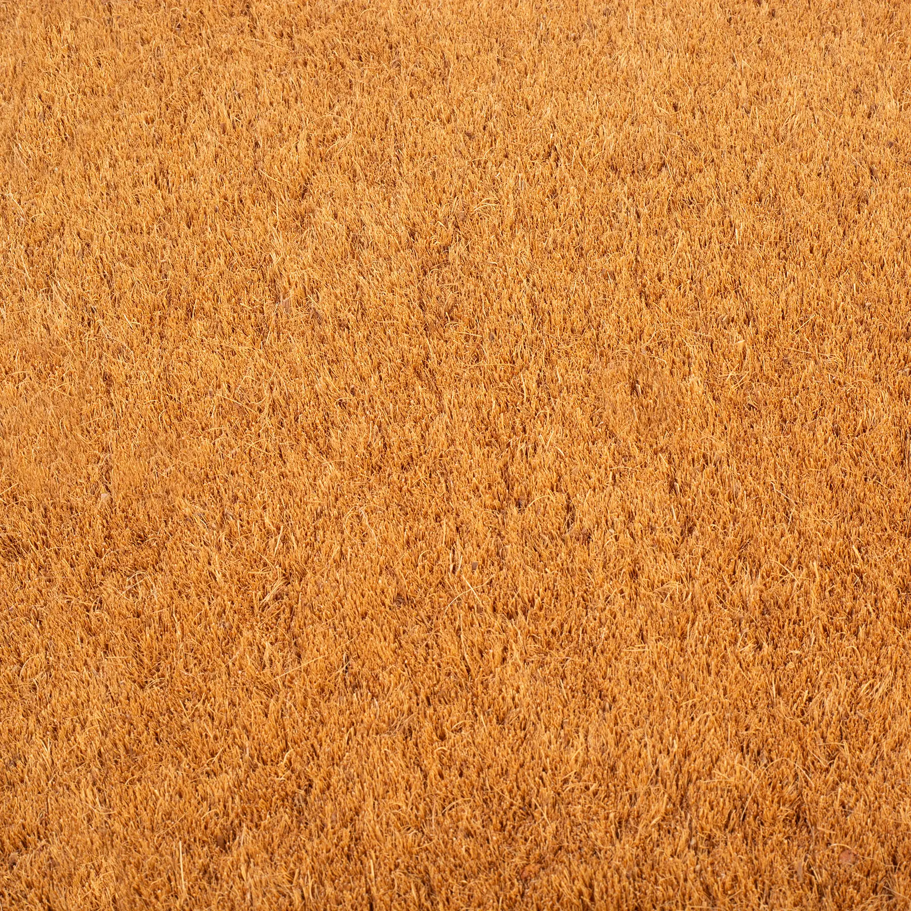 Black Border Coir Doormat by Fab Habitat