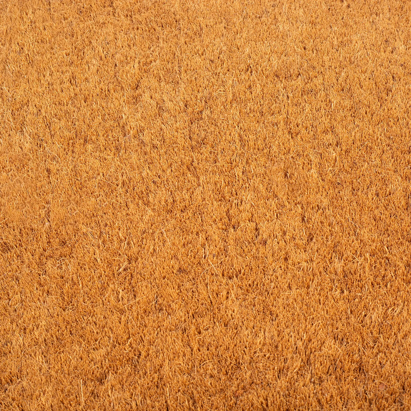 Black Border Coir Doormat by Fab Habitat