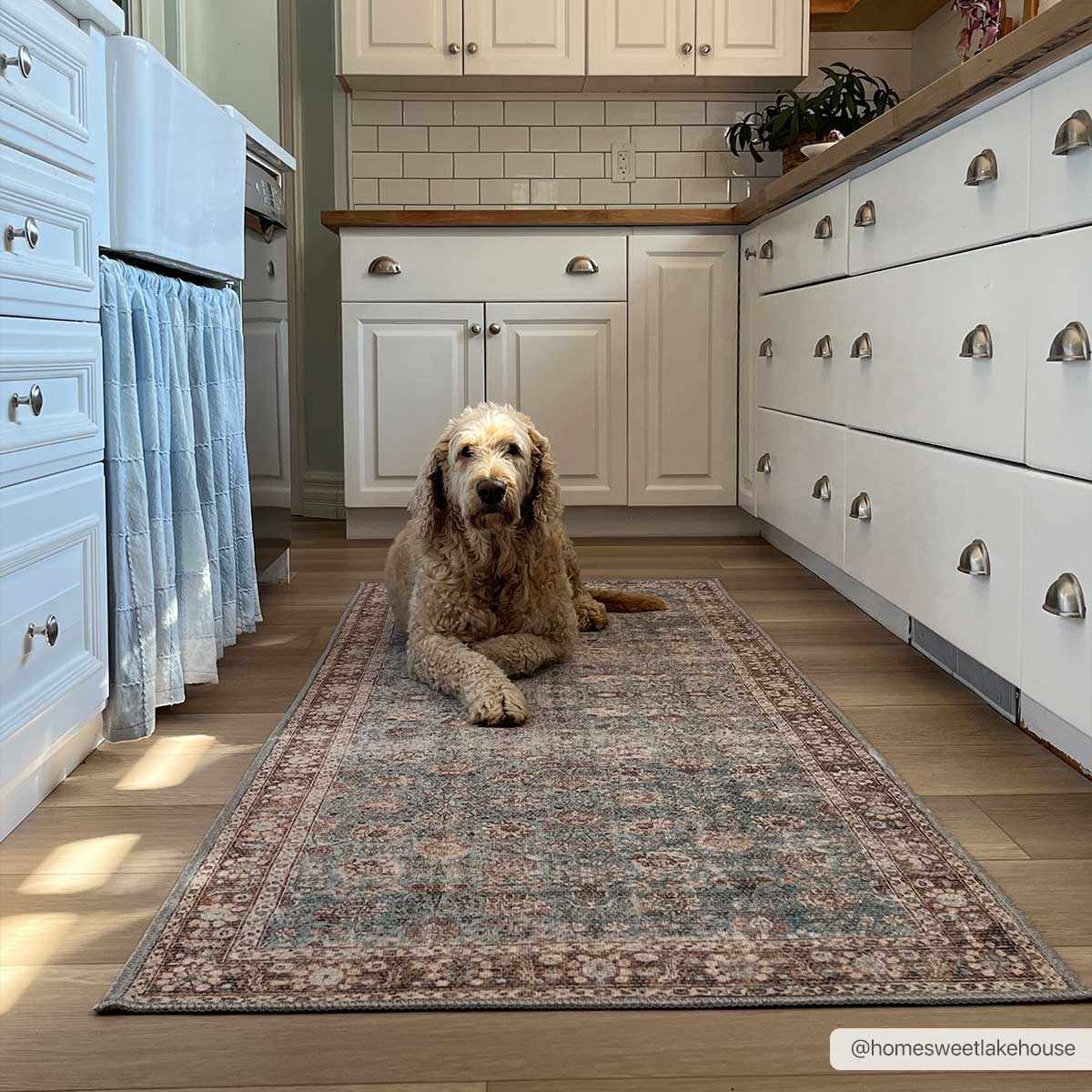 Brown Blue Dauis Vintage Washable Rug by Hauteloom