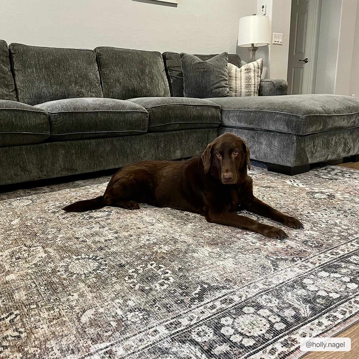 Ganyangan Washable Rug by Boutique Rugs