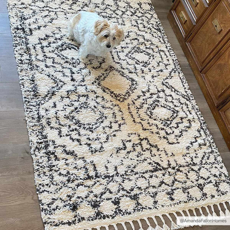 Buan Plush Area Rug by Hauteloom