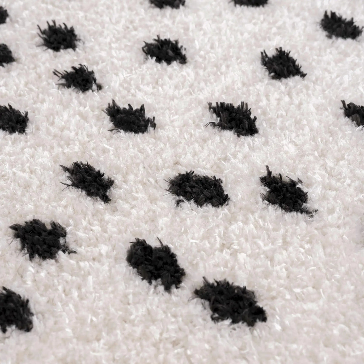 Cansu Black & White Dotted Area Rug, photo 13 of 19