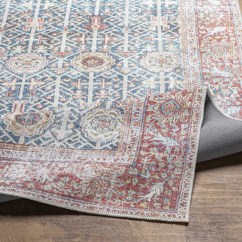 Rust Catadupa Distressed Washable Area Rug - Clearance by Boutique Rugs