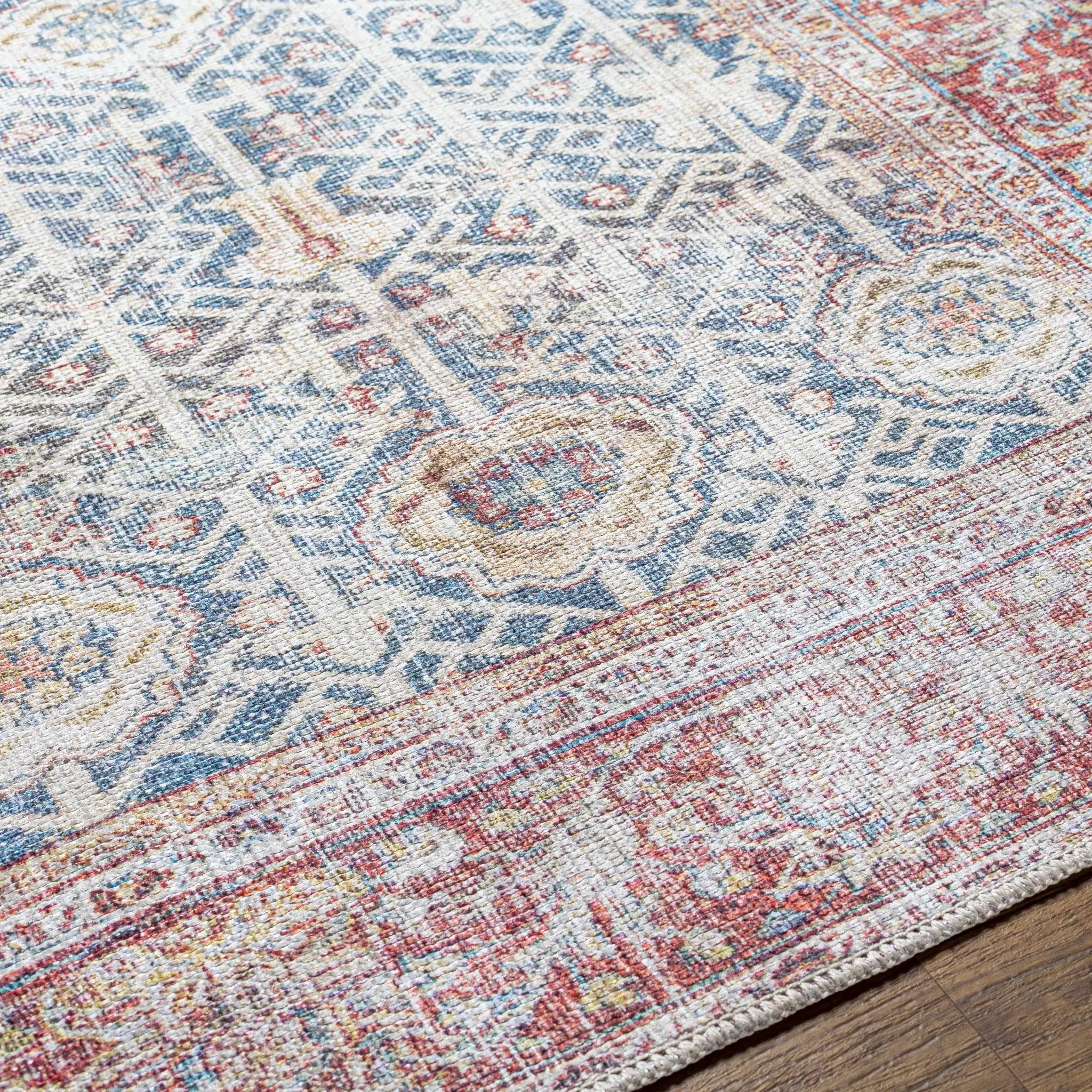 Rust Catadupa Distressed Washable Area Rug - Clearance by Boutique Rugs
