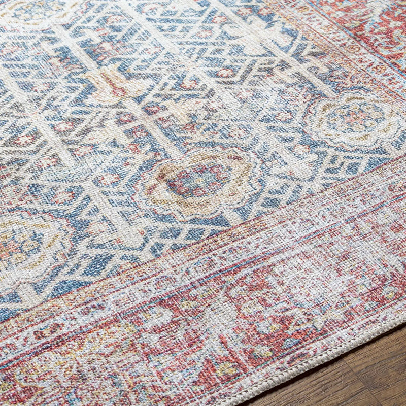 Rust Catadupa Distressed Washable Area Rug - Clearance by Boutique Rugs