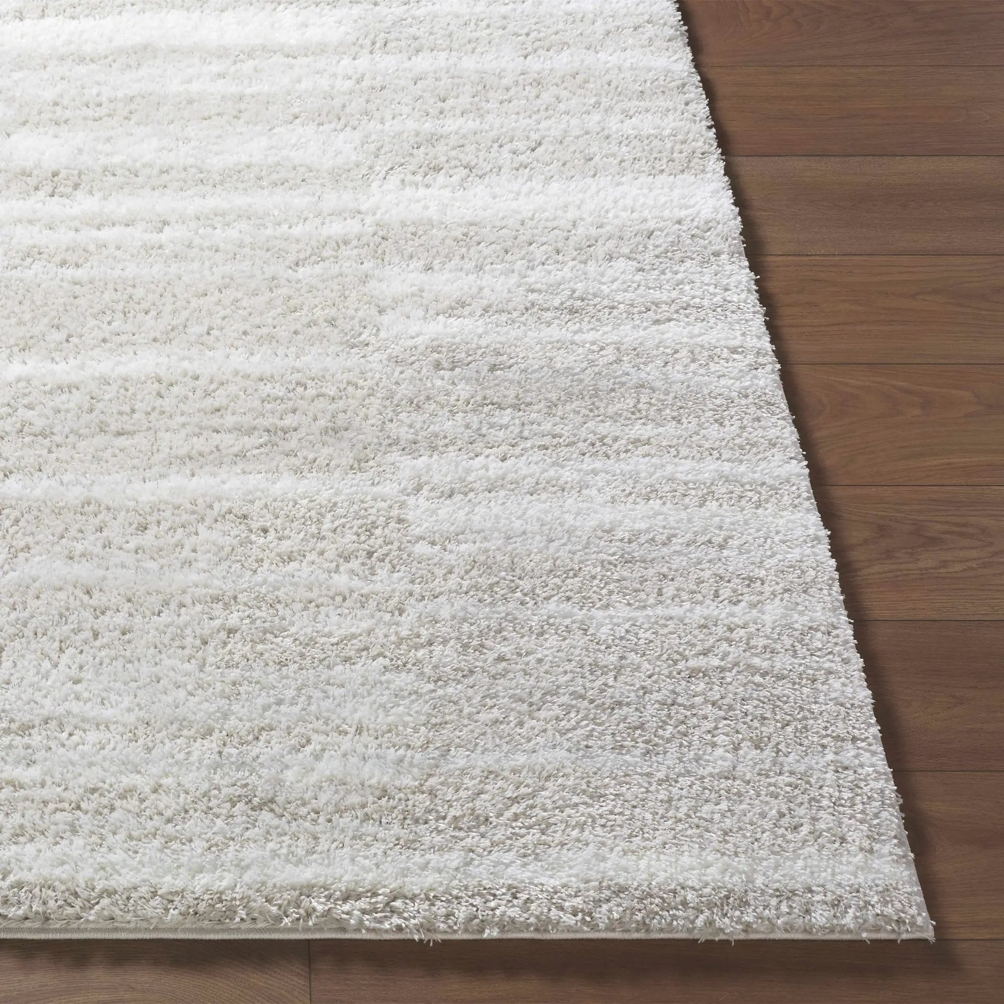 Carlen Ivory Area Rug by Boutique Rugs