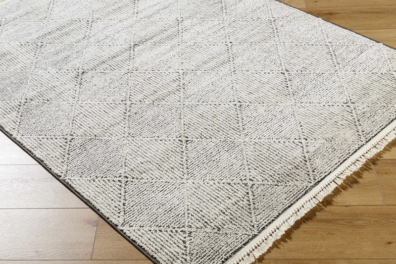 Cannan Area Rug - Clearance by Boutique Rugs