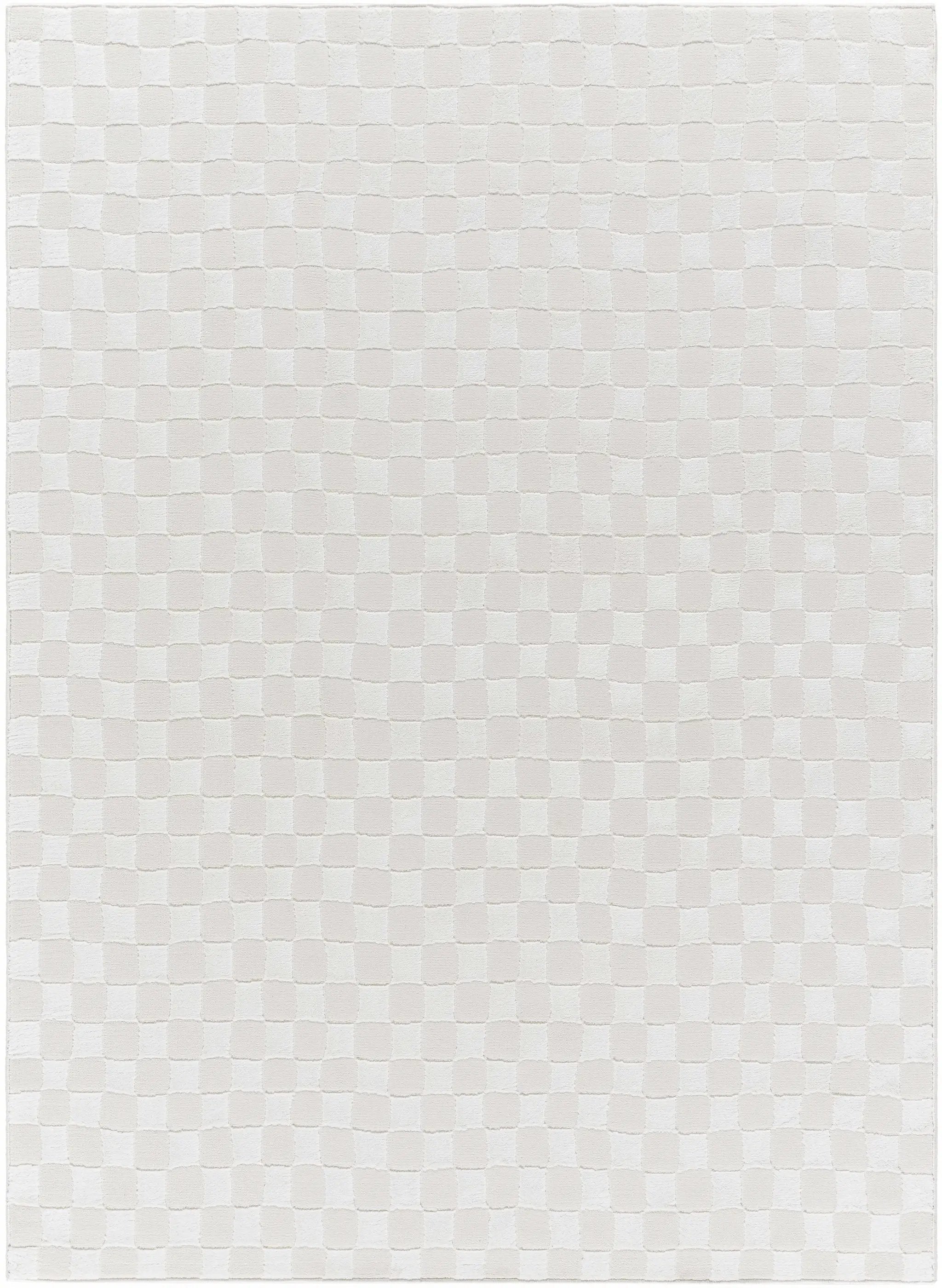 Carina Light 3D Checkered Washable Area Rug by Boutique Rugs