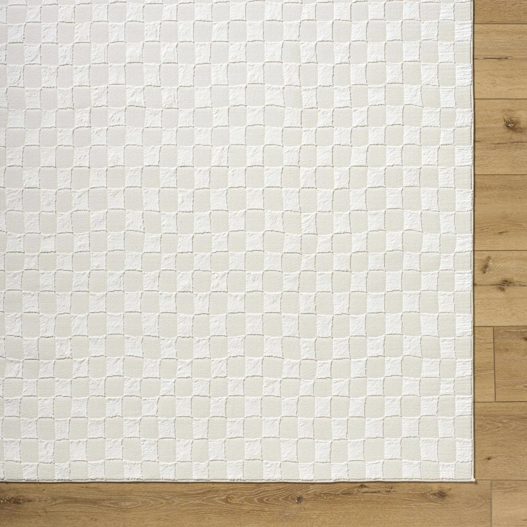 Carina Light 3D Checkered Washable Area Rug by Boutique Rugs