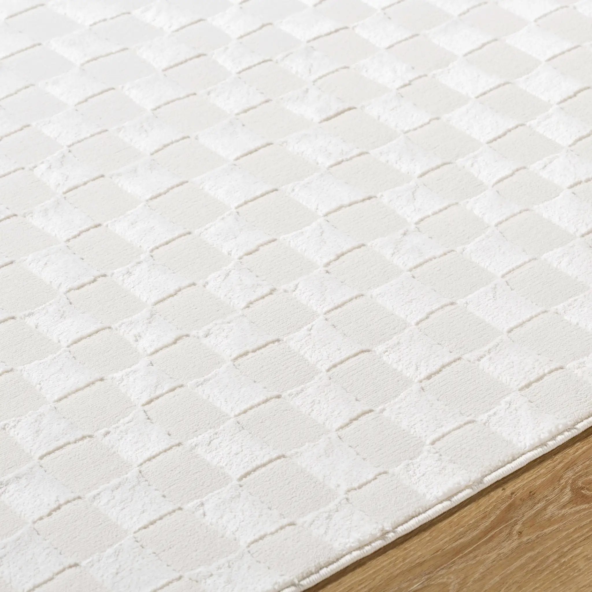 Carina Light 3D Checkered Washable Area Rug by Boutique Rugs