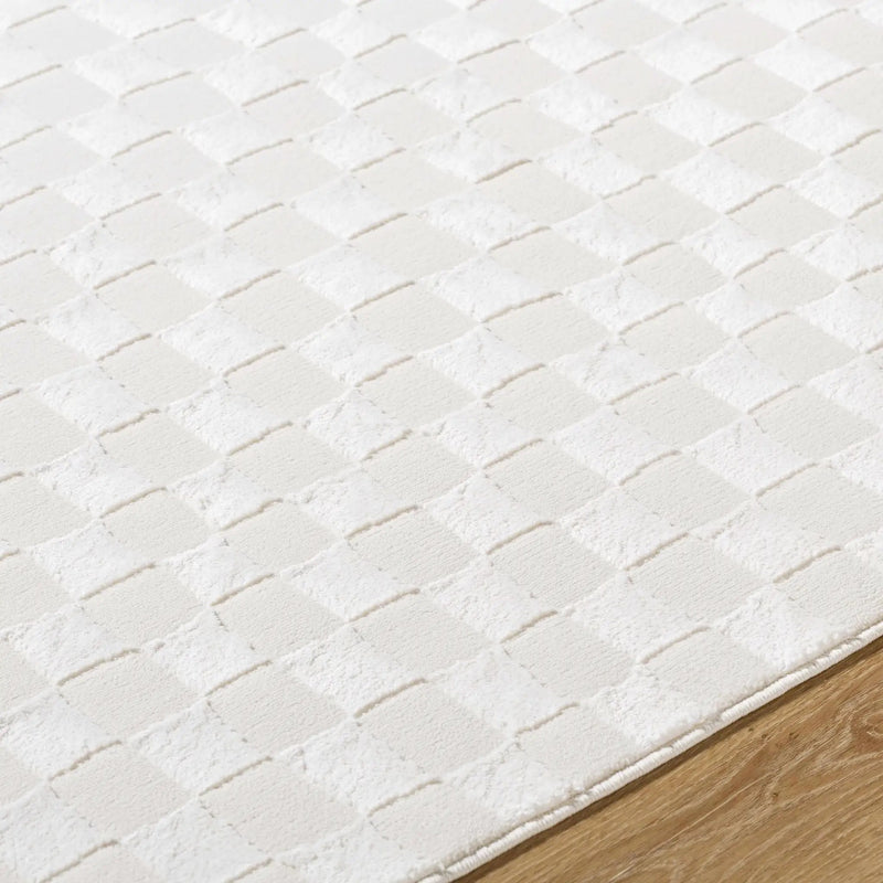 Carina Light 3D Checkered Washable Area Rug by Boutique Rugs