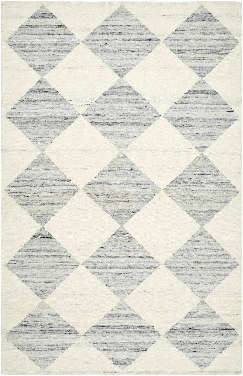 Andrin Light Gray Area Rug by Boutique Rugs