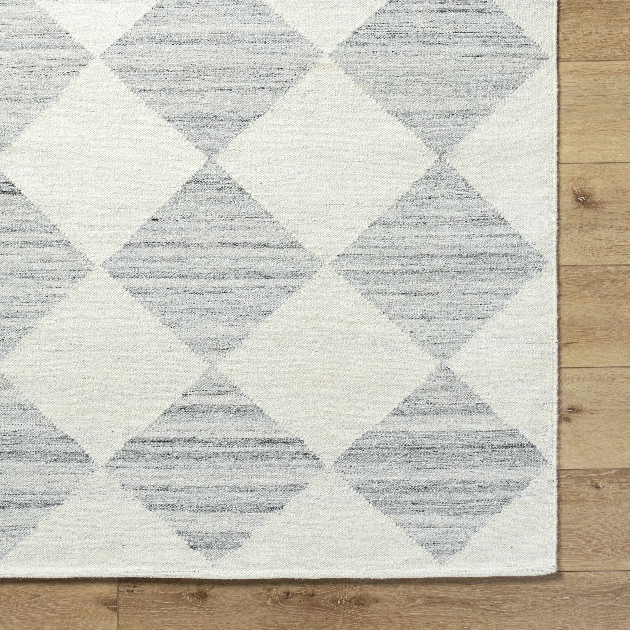 Andrin Light Gray Area Rug by Boutique Rugs
