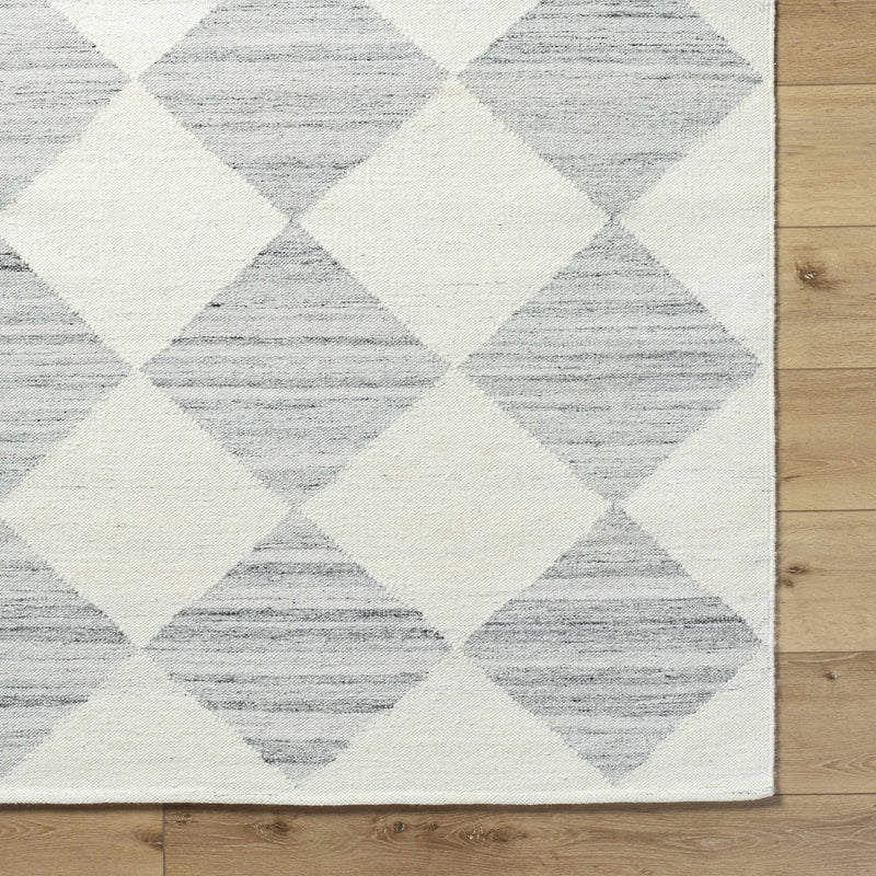 Andrin Light Gray Area Rug by Boutique Rugs