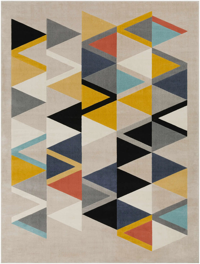 Champlin Area Rug - Clearance by Boutique Rugs