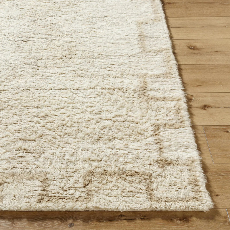 Ciniod Area Rug by Boutique Rugs