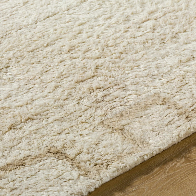 Ciniod Area Rug by Boutique Rugs