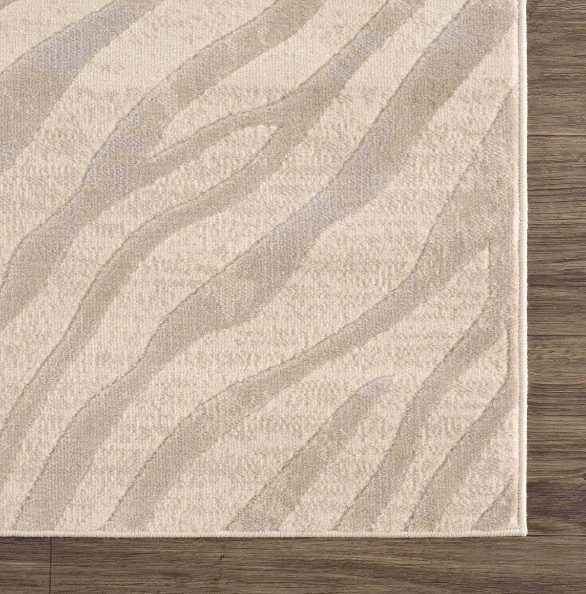 Beige Manteca Zebra Print Area Rug, photo 9 of 16