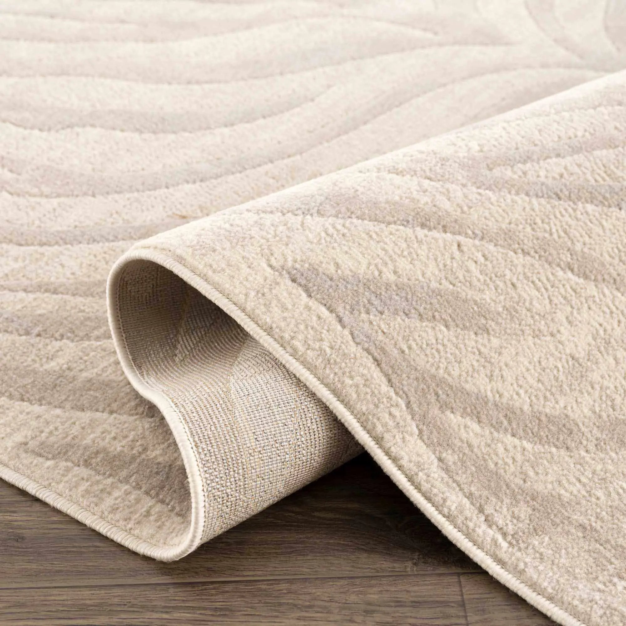 Beige Manteca Zebra Print Area Rug by Hauteloom
