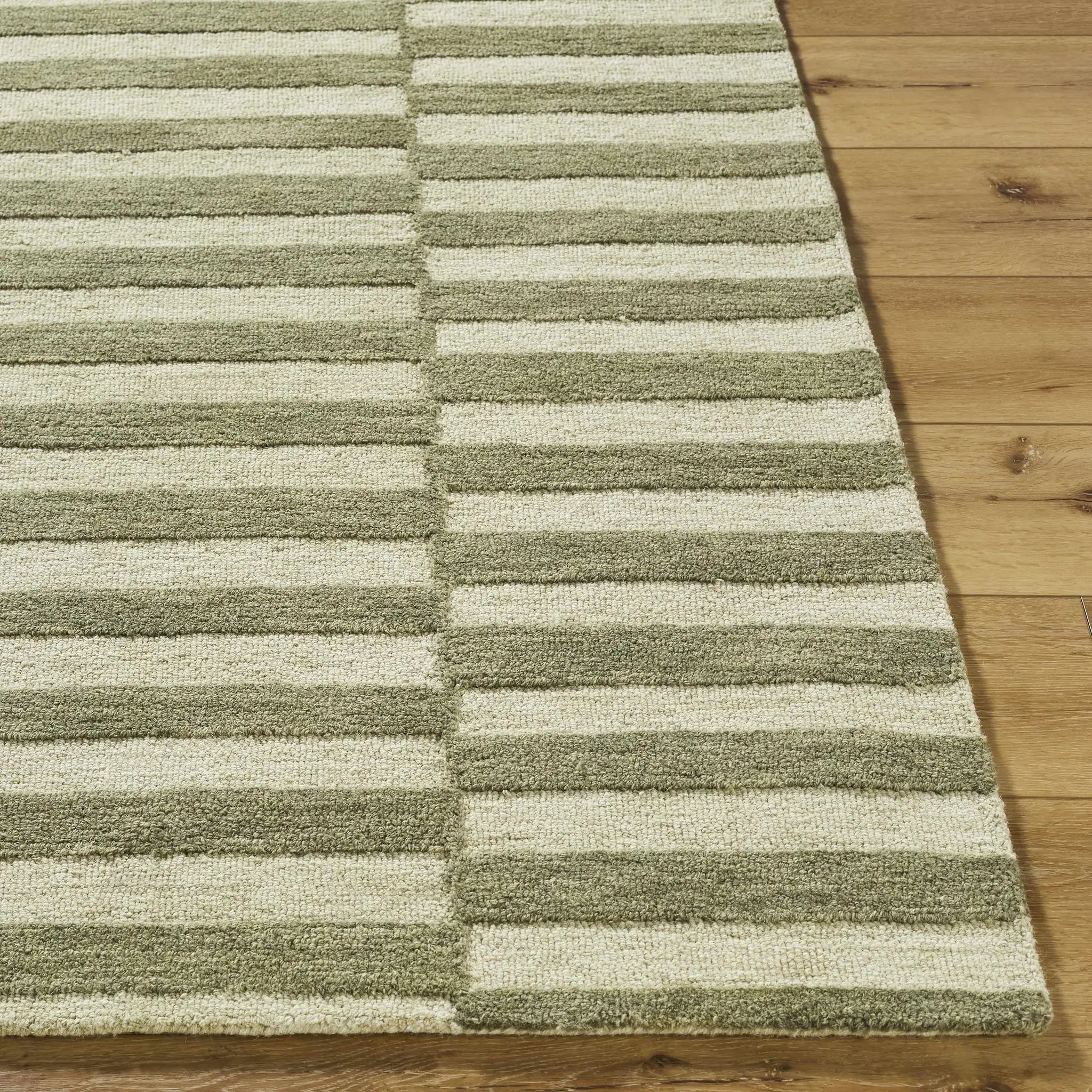 Idaho Broken-Striped Green Area Rug by Boutique Rugs